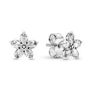 Uhani Pandora Timeless