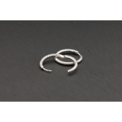 Pendientes Pandora Moments