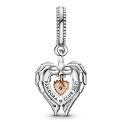 Pandantiv Pandora Moments