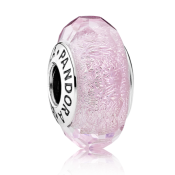 Charm Pandora Moments