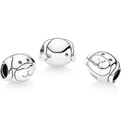 Charm Pandora Moments