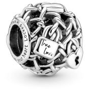 Charm Pandora Moments