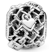 Charm Pandora Moments