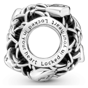 Charm Pandora Moments