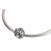 Charm Pandora Moments