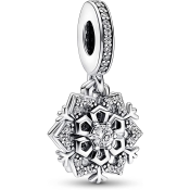 Colgante Pandora Moments