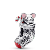 Charm Pandora Moments