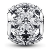 Charms Pandora Timeless