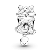 Charm Pandora Moments