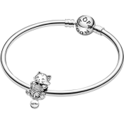 Charm Pandora Moments