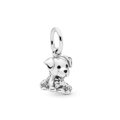 Pandantiv Pandora Moments