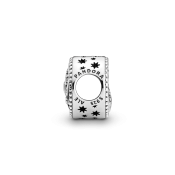 Charm Pandora Harry Potter