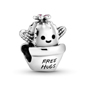 Charm Pandora Moments