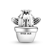 Charm Pandora Moments