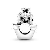 Charm Pandora Moments