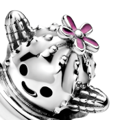 Charm Pandora Moments