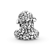 Charm Pandora Moments