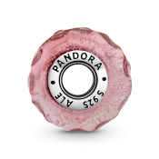 Charm Pandora Moments