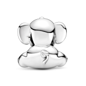 Charm Pandora Moments