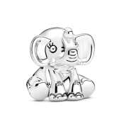 Charm Pandora Moments