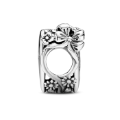 Pandantiv Pandora Moments