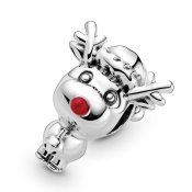 Charm Pandora Moments