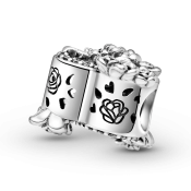 Charm Pandora Moments