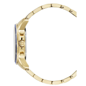 Swiss Alpine Military Douglas