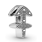 Charm Pandora Moments