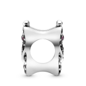 Charm Pandora Moments