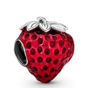 Charm Pandora Moments