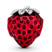 Charm Pandora Moments