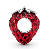 Charm Pandora Moments