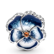 Charm Pandora Moments