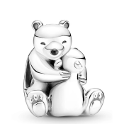 Charm Pandora Moments