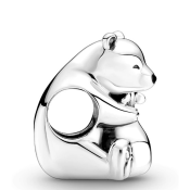 Charm Pandora Moments