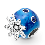 Charm Pandora Moments