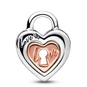 Charm Pandora Moments