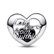 Charm Pandora Moments