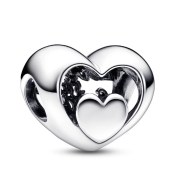 Charm Pandora Moments