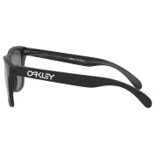 Oakley Frogskins PRIZM Polarized