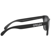 Oakley Frogskins PRIZM Polarized