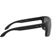 Oakley Holbrook PRIZM Polarized