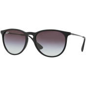 Ray-Ban Erika Classic