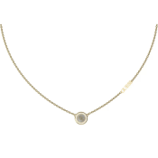 Guess Dreaming Guess