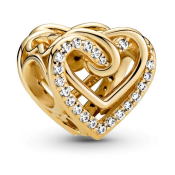 Charm Pandora Moments