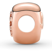 Charm Pandora Moments