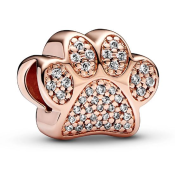 Charm Pandora Moments