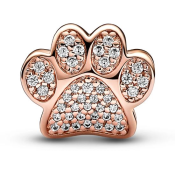 Charm Pandora Moments