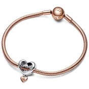 Charm Pandora Moments